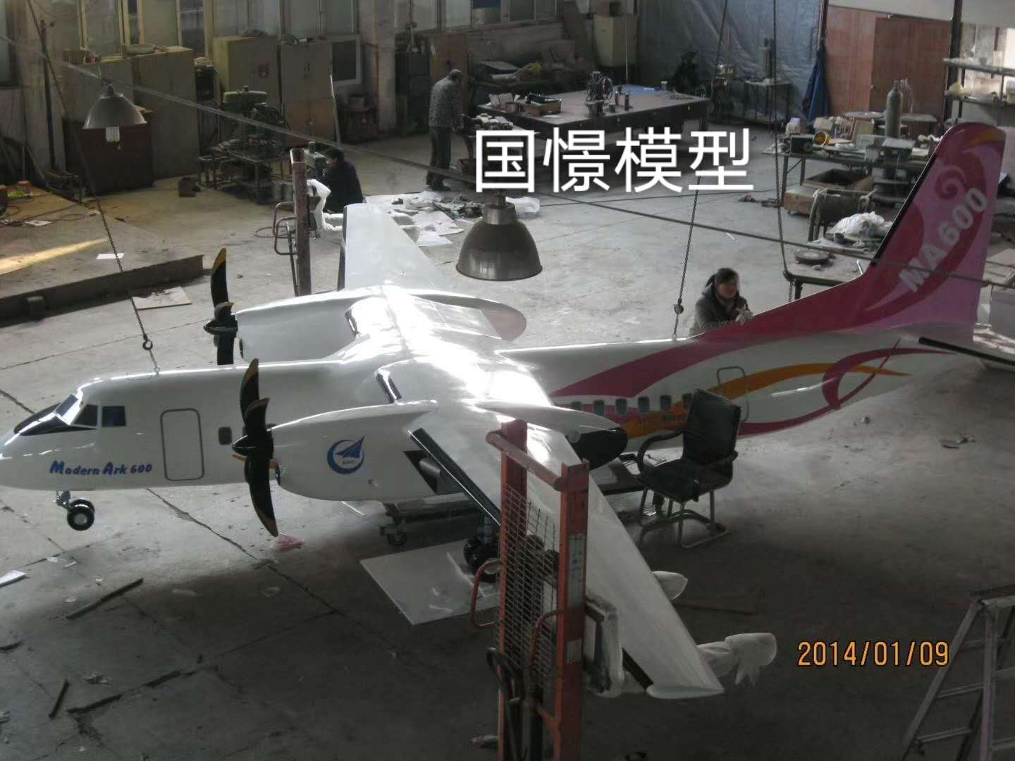 东兰县飞机模型