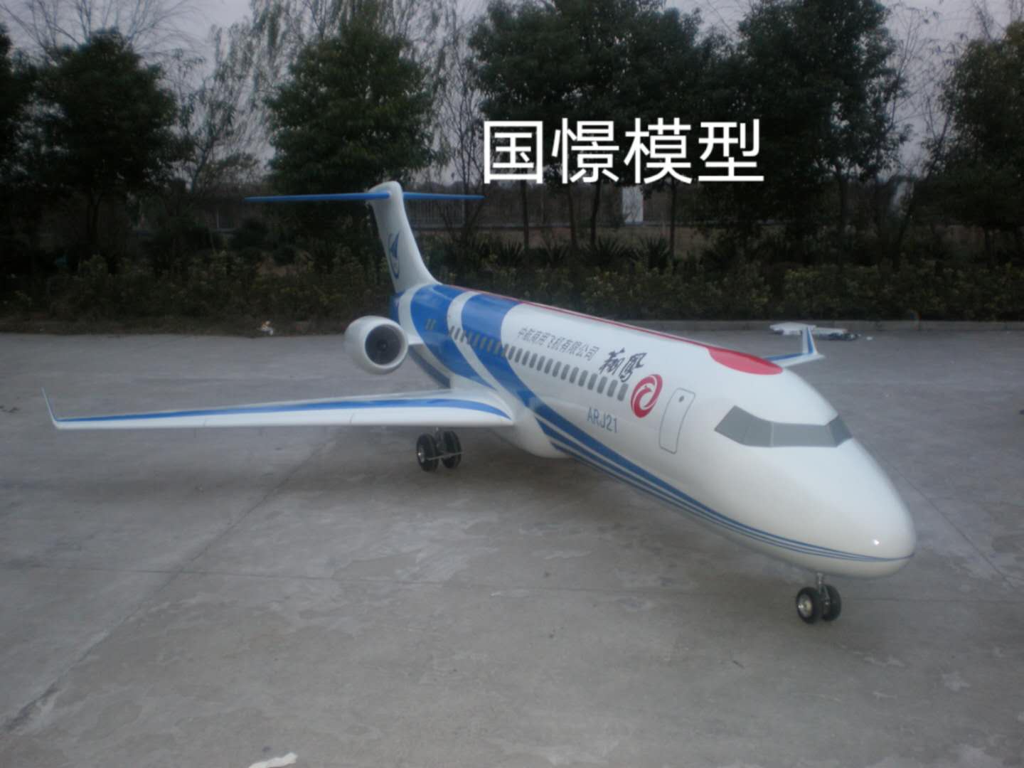 东兰县飞机模型